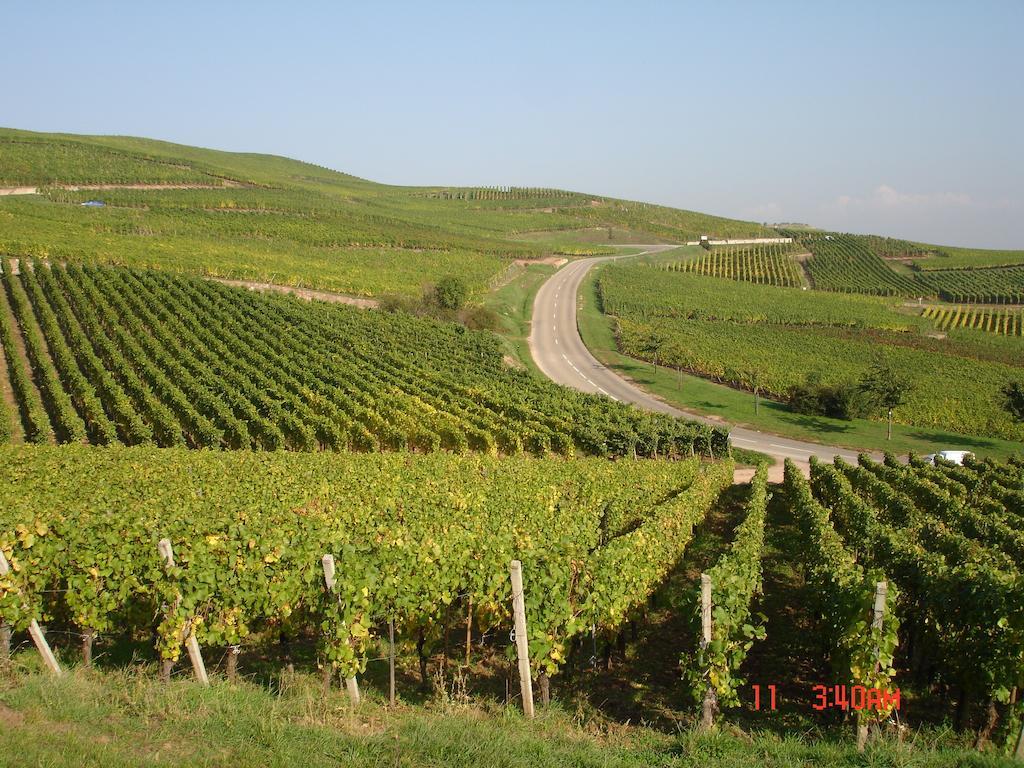 Gite Du Vigneron Turckheim Exterior foto